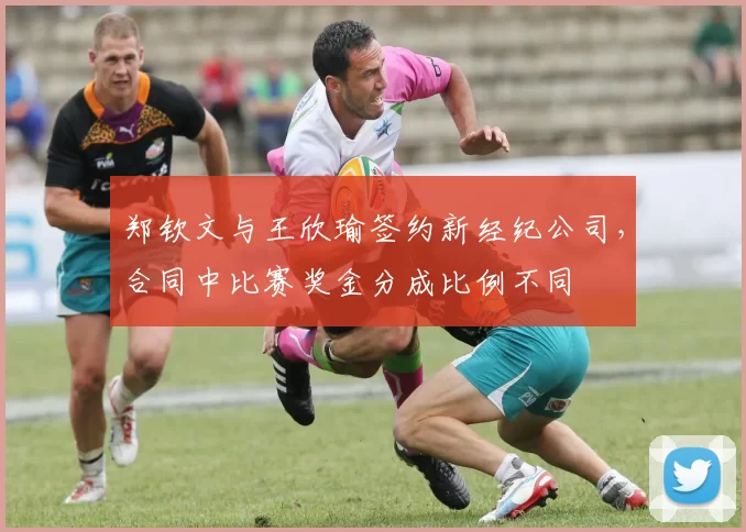 郑钦文与王欣瑜签约新经纪公司,合同中比赛奖金分成比例不同