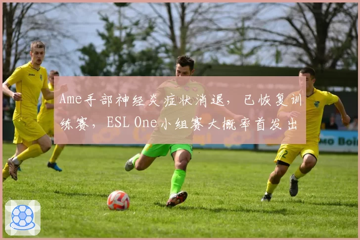 Ame手部神经炎症状消退,已恢复训练赛,ESL One小组赛大概率首发出战