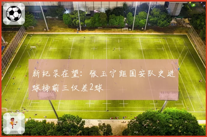 新纪录在望：张玉宁距国安队史进球榜前三仅差2球